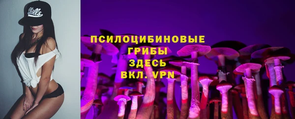 спайс Белокуриха
