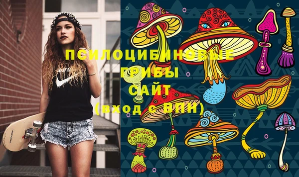 спайс Белокуриха