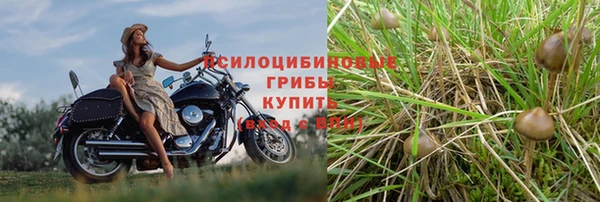 спайс Белокуриха