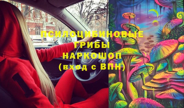 спайс Белокуриха