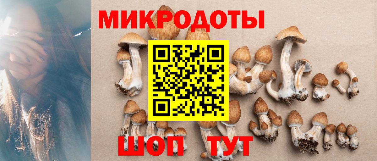 Бузулук  Галлюциногенные грибы прущие грибы  Вход с VPN 